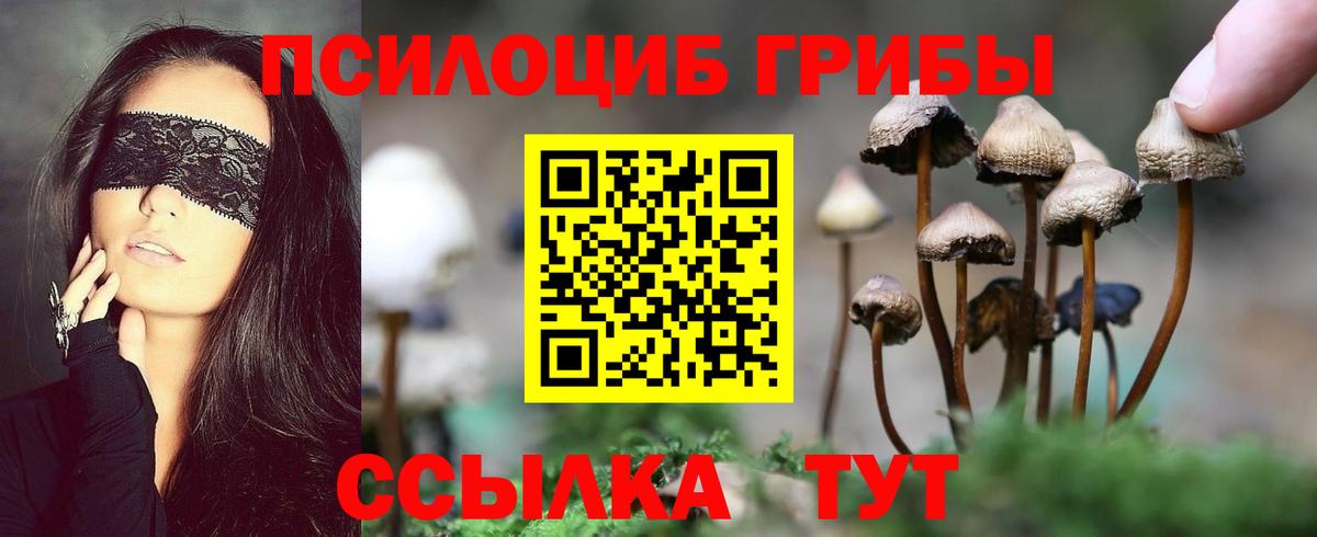 Галлюциногенные грибы Psilocybine cubensis  Галлюциногенные грибы GOLDEN TEACHER  Армавир  Вход с VPN 
